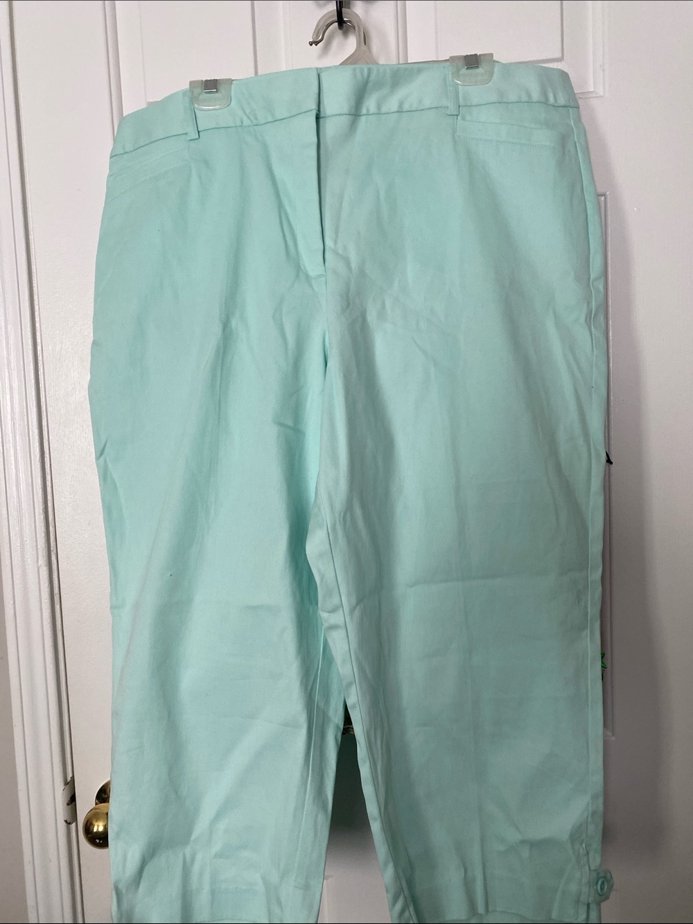 Counterparts Mint Green Capris